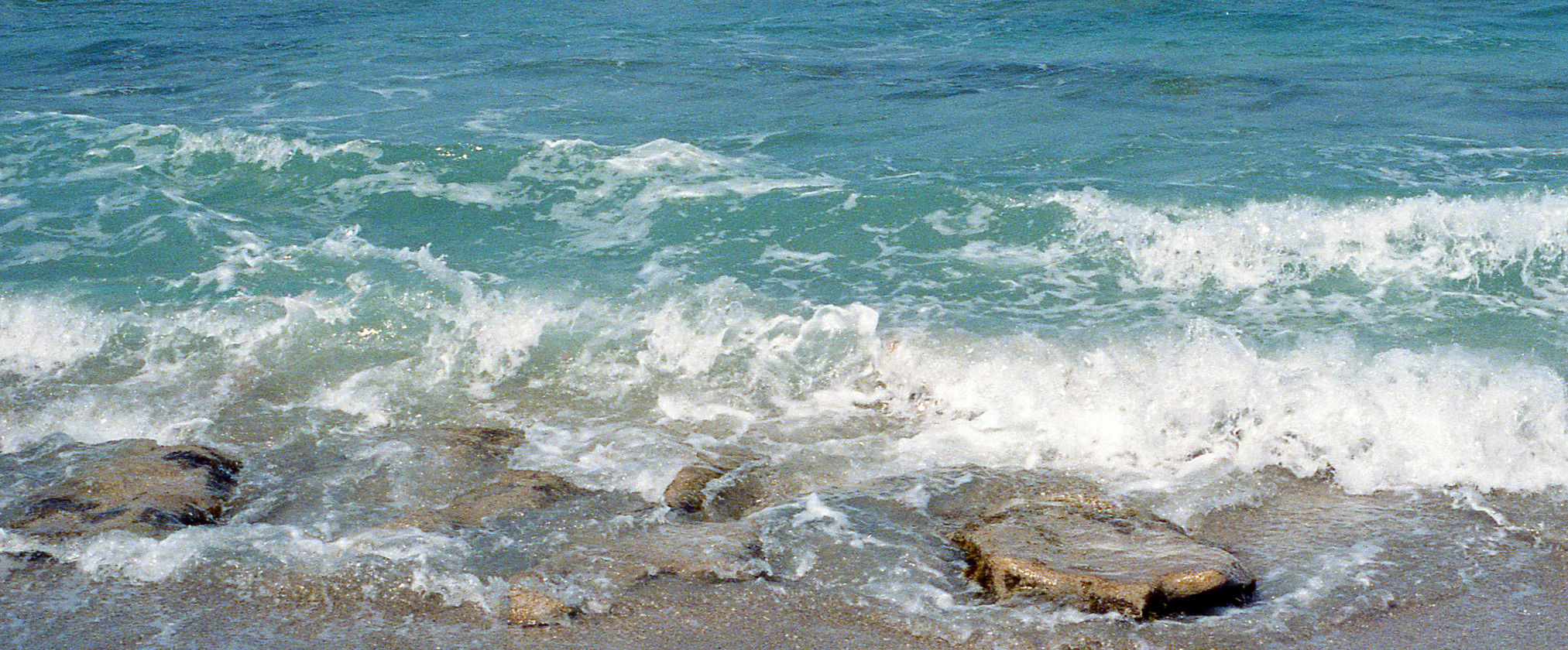 Florida Experiment Lessens Shoreline Damage from High-Energy Waves