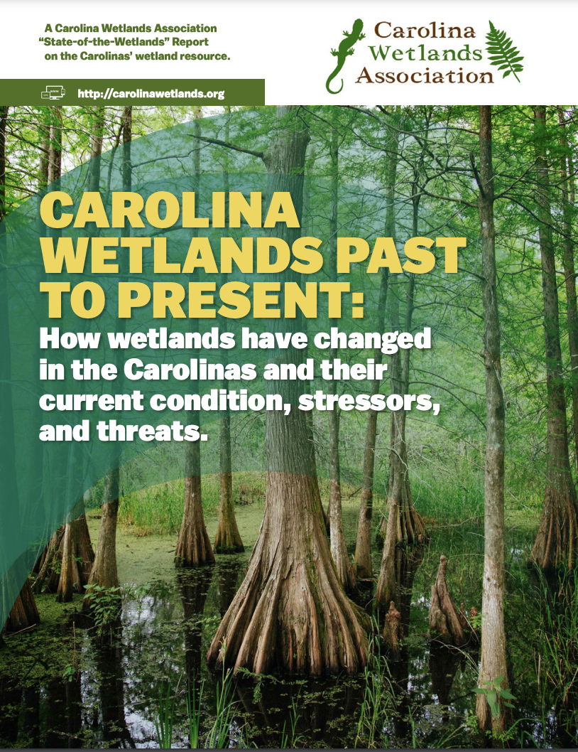 Carolina Wetlands Past to Present: How wetlands have changed in the Carolinas and their current condition, stressors, and threats