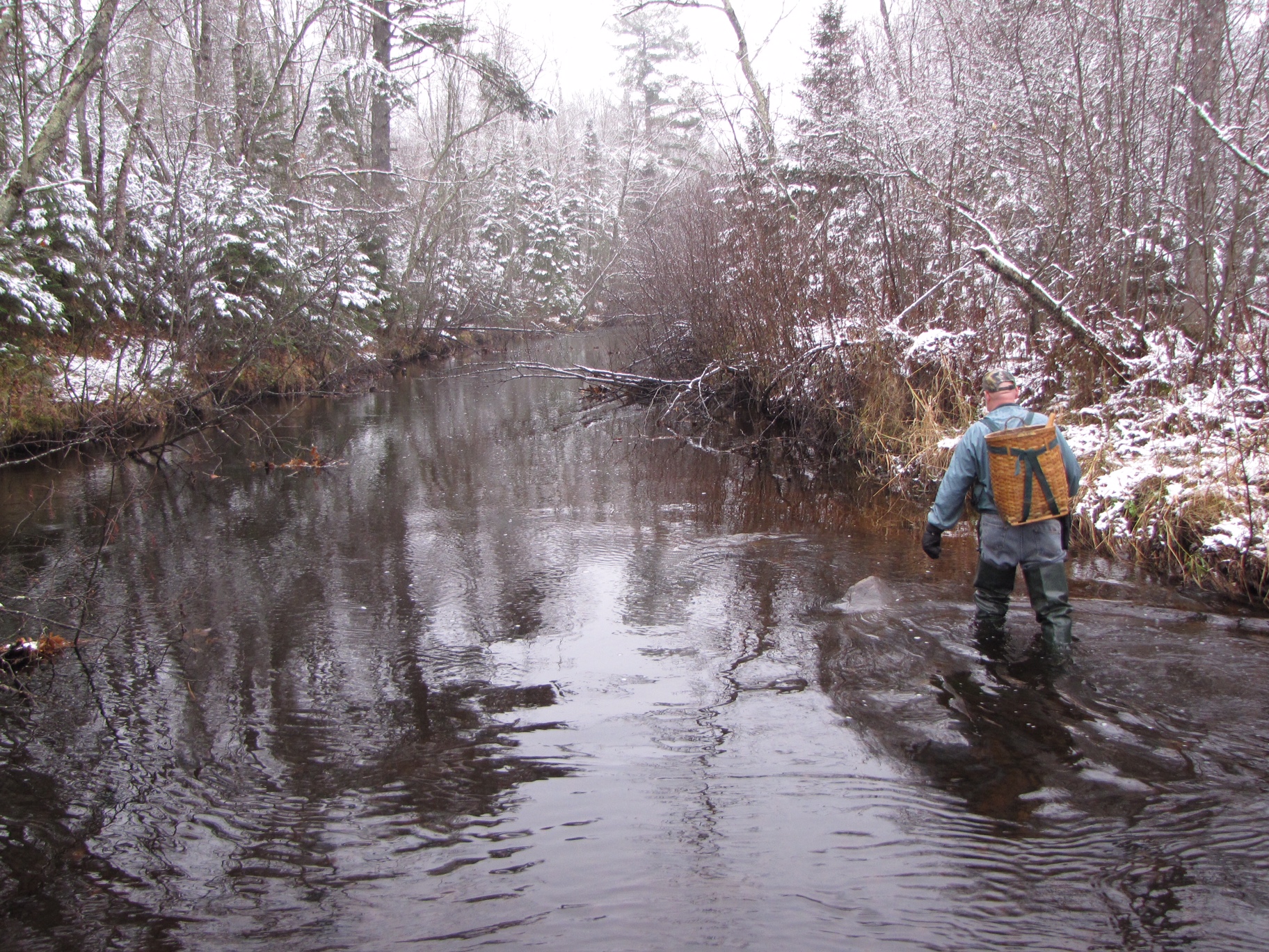Guidelines for Considering Traditional Knowledges in Climate Change Initiatives