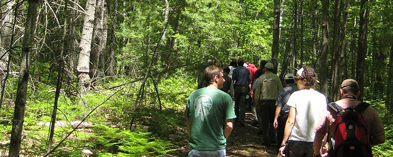 Tree Species Risks