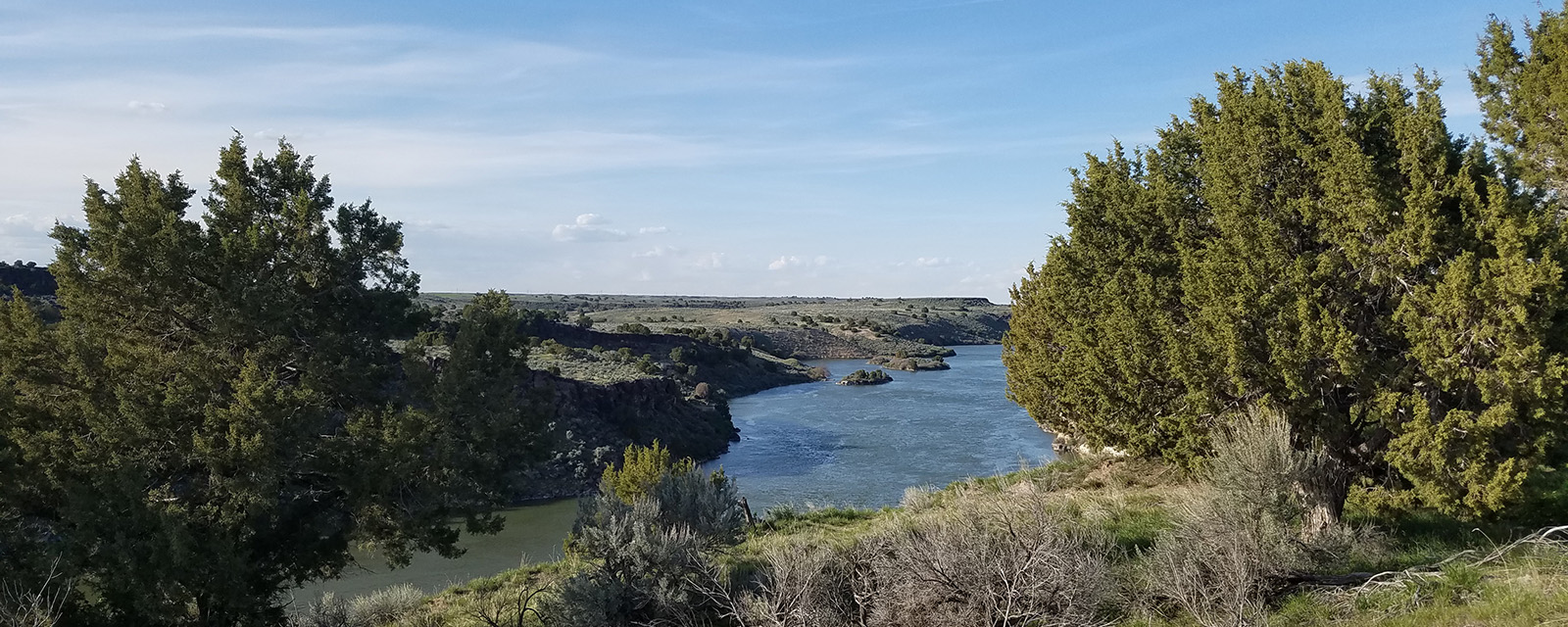 Moving Forward Together: Building Tribal Resiliency and Partnerships