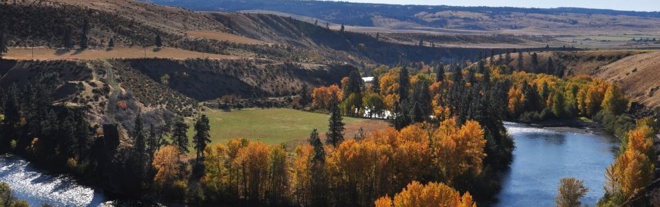 An Integrated Plan for Water and Long-Term Ecological Resilience