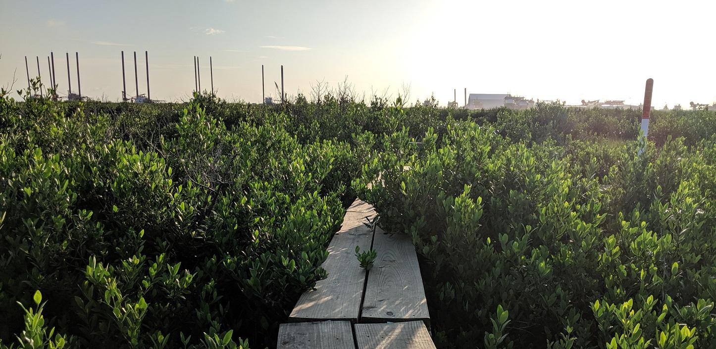The Water Institute of the Gulf — Port Fourchon: Supporting Resiliency on an Evolving Coast