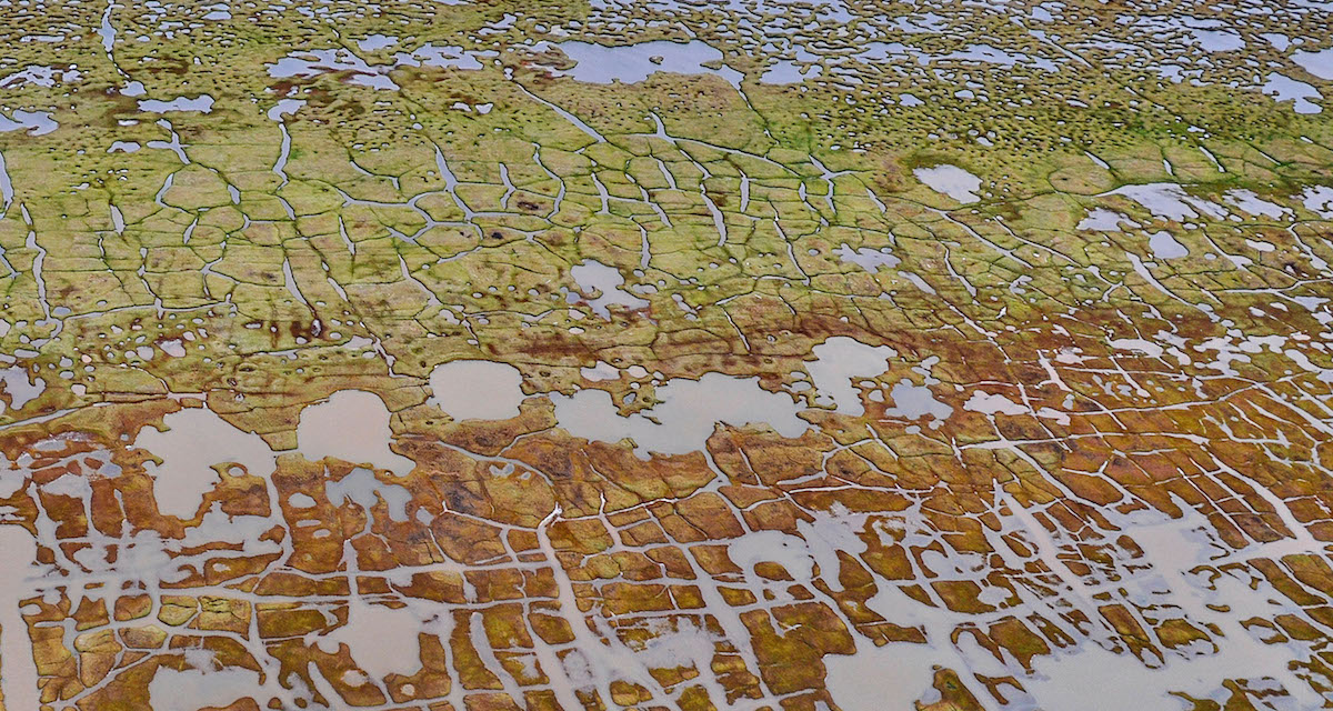 ShoreZone: A Tool for Coastal Resilience