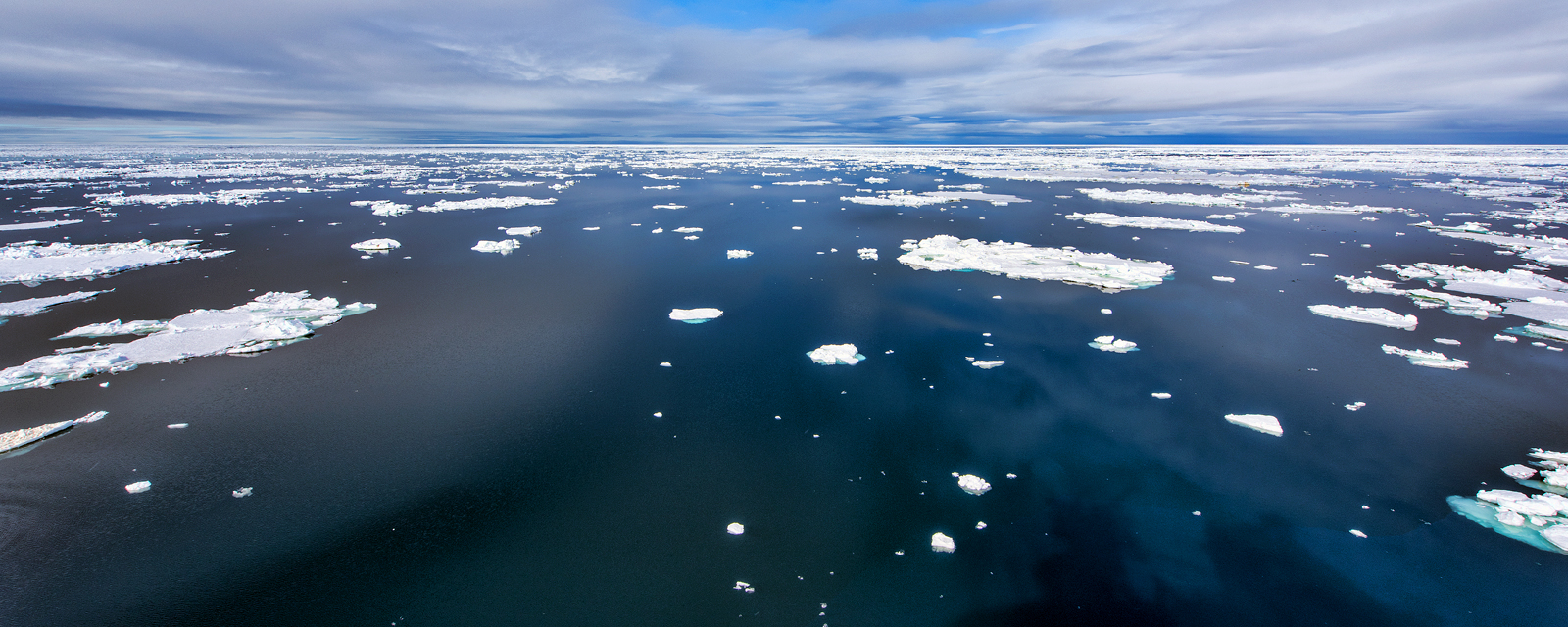 Arctic Oceans, Sea Ice, and Coasts