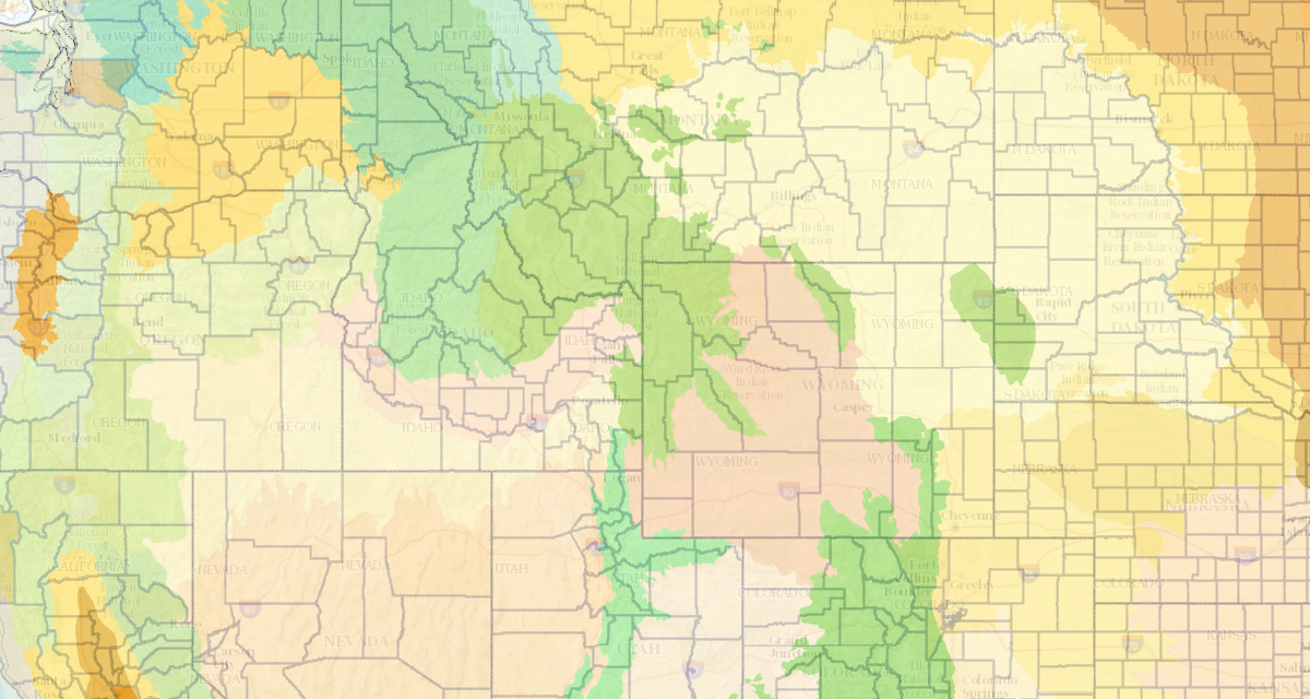 Global Biodiversity Information Facility (GBIF)