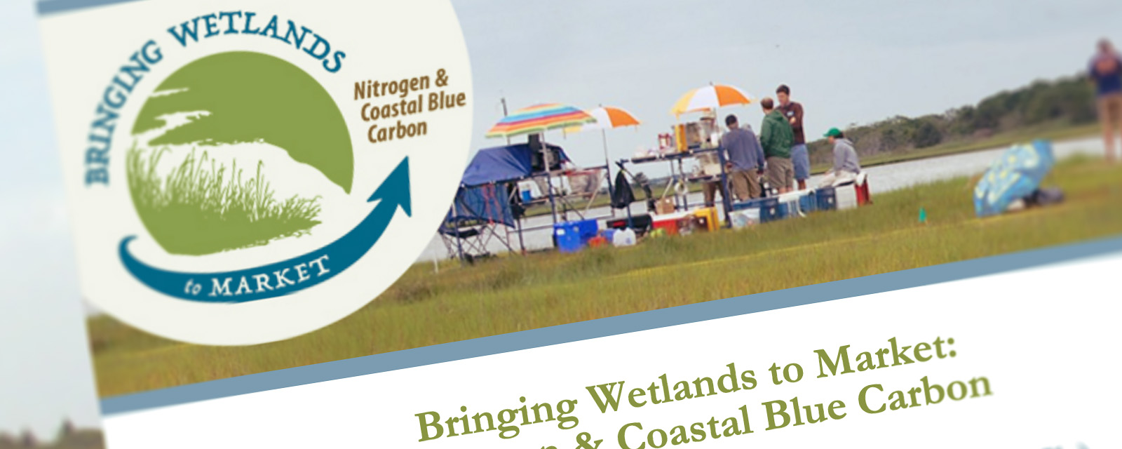 Bringing Wetlands to Market: BWM Wetland GHG Model