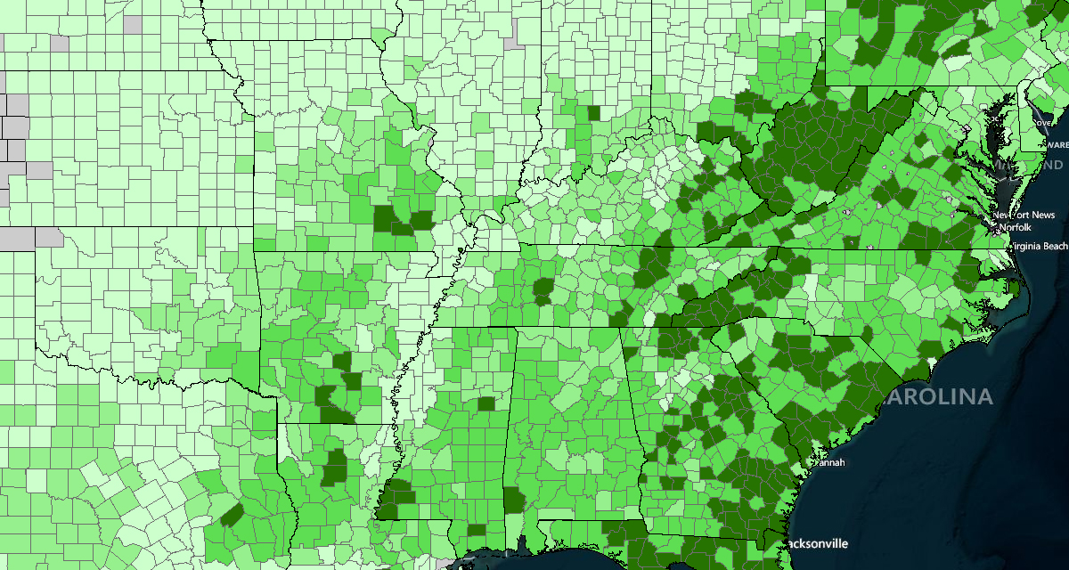 Carbon Storage in Forests