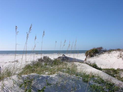 Dunes on Perdue unit at Bon Secour NWR - Credit: USFWS Sand dunes with a clear blue sky in the background