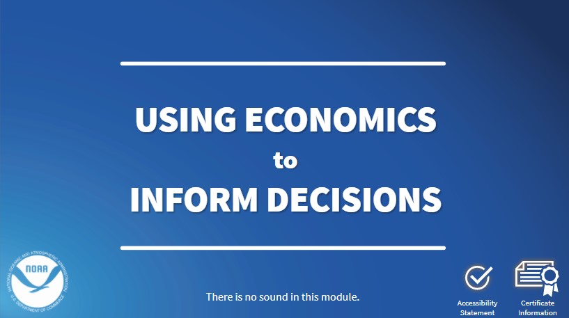 Blue background with white text that reads "Using Economics to Inform Decisions"