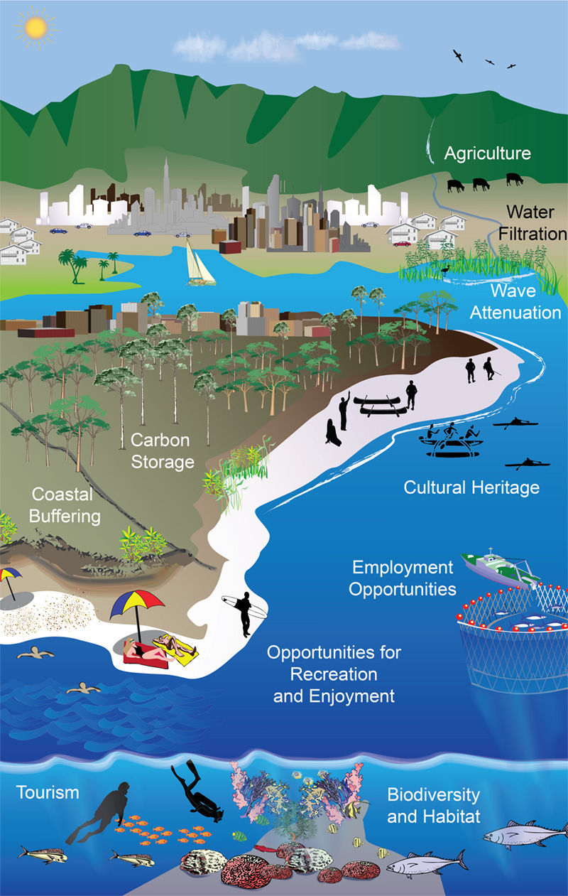 ecosystems u s climate resilience toolkit