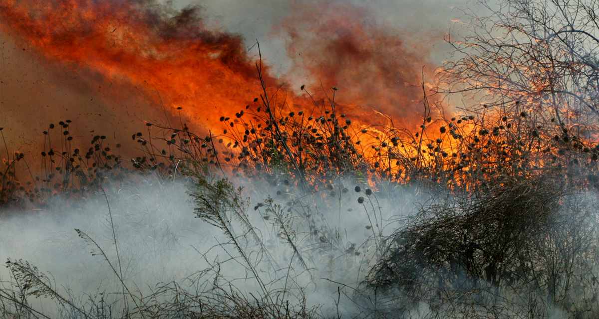 Watching for Wind: An Effort to Get the Upper Hand on Wildfire