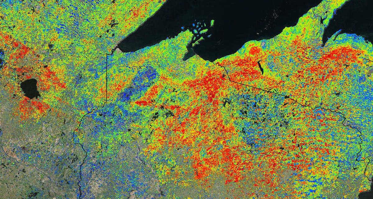 ForWarn Forest Change Assessment Viewer