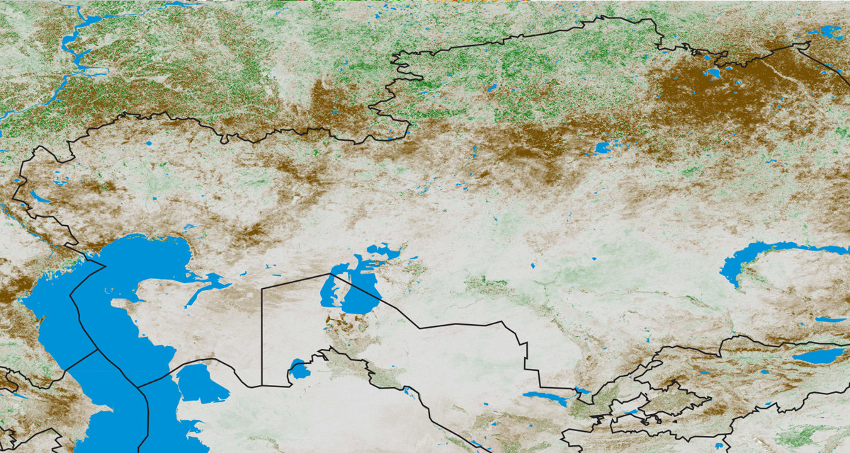 Famine Early Warning System Network (FEWS NET)