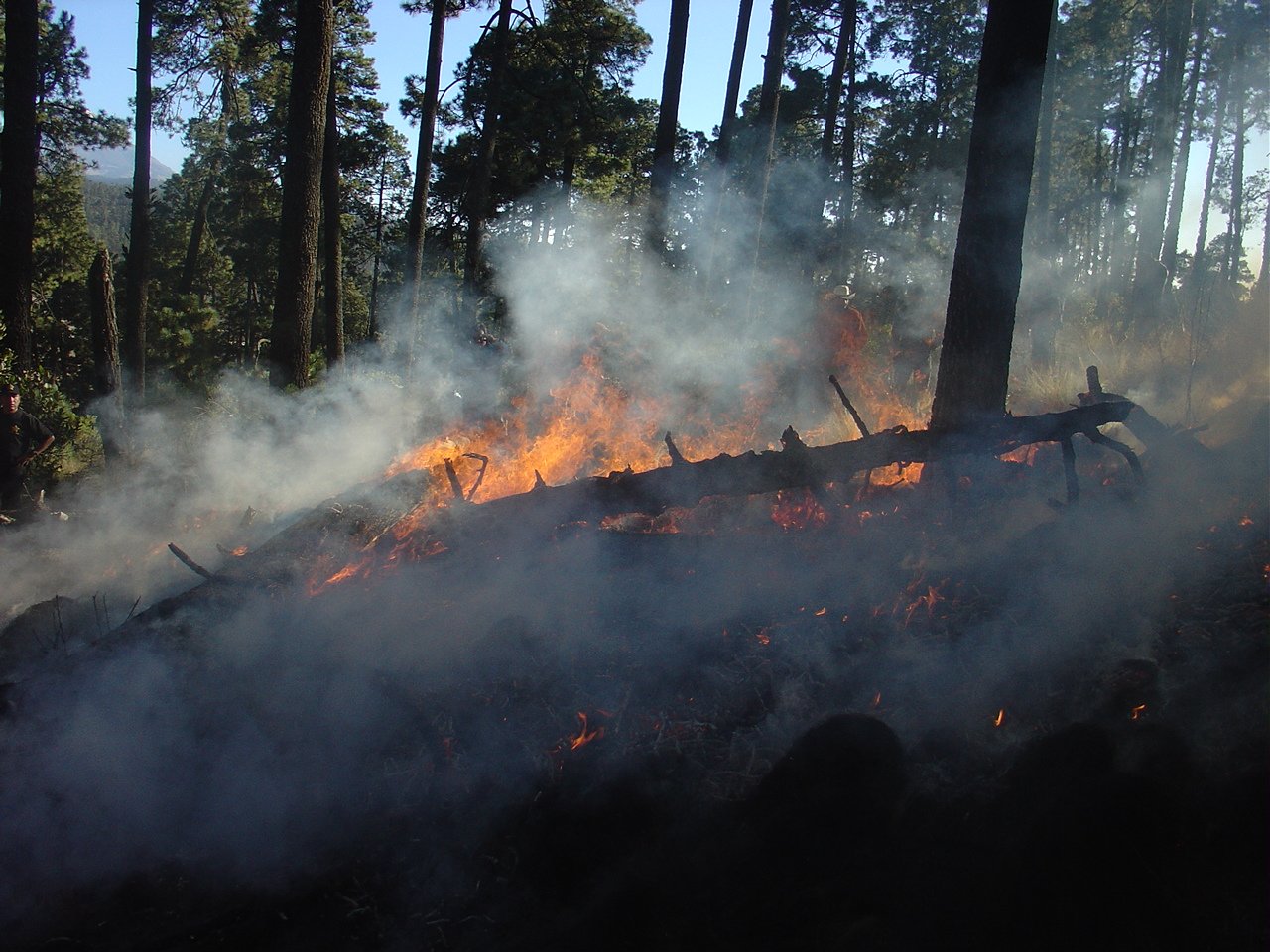 Planning Framework for Protecting Commercial Building Occupants from Smoke During Wildfire Events