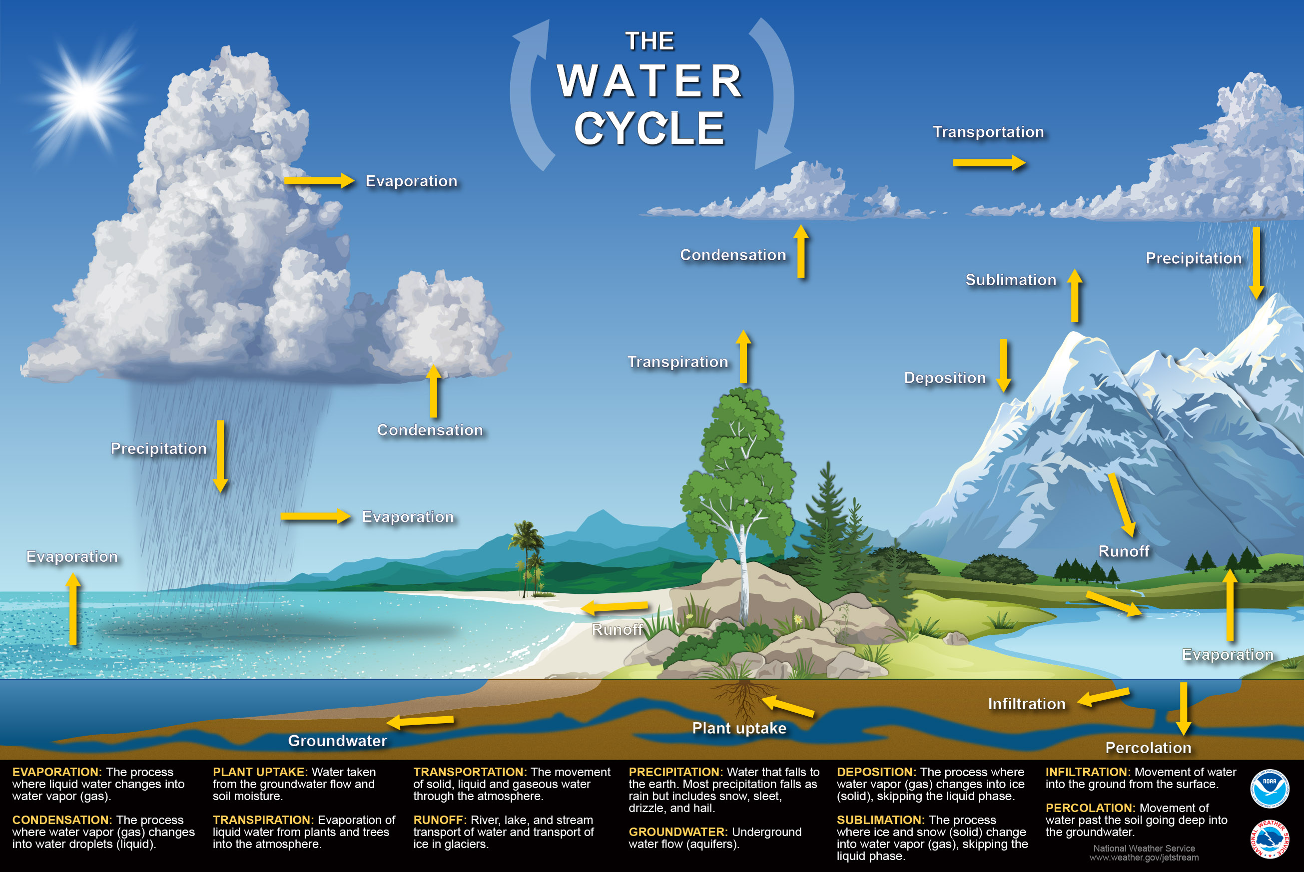 the presentation water cycle