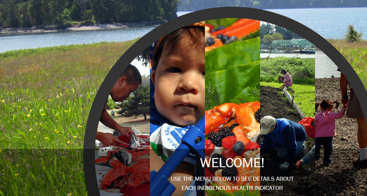 Indigenous Health Indicators Tool