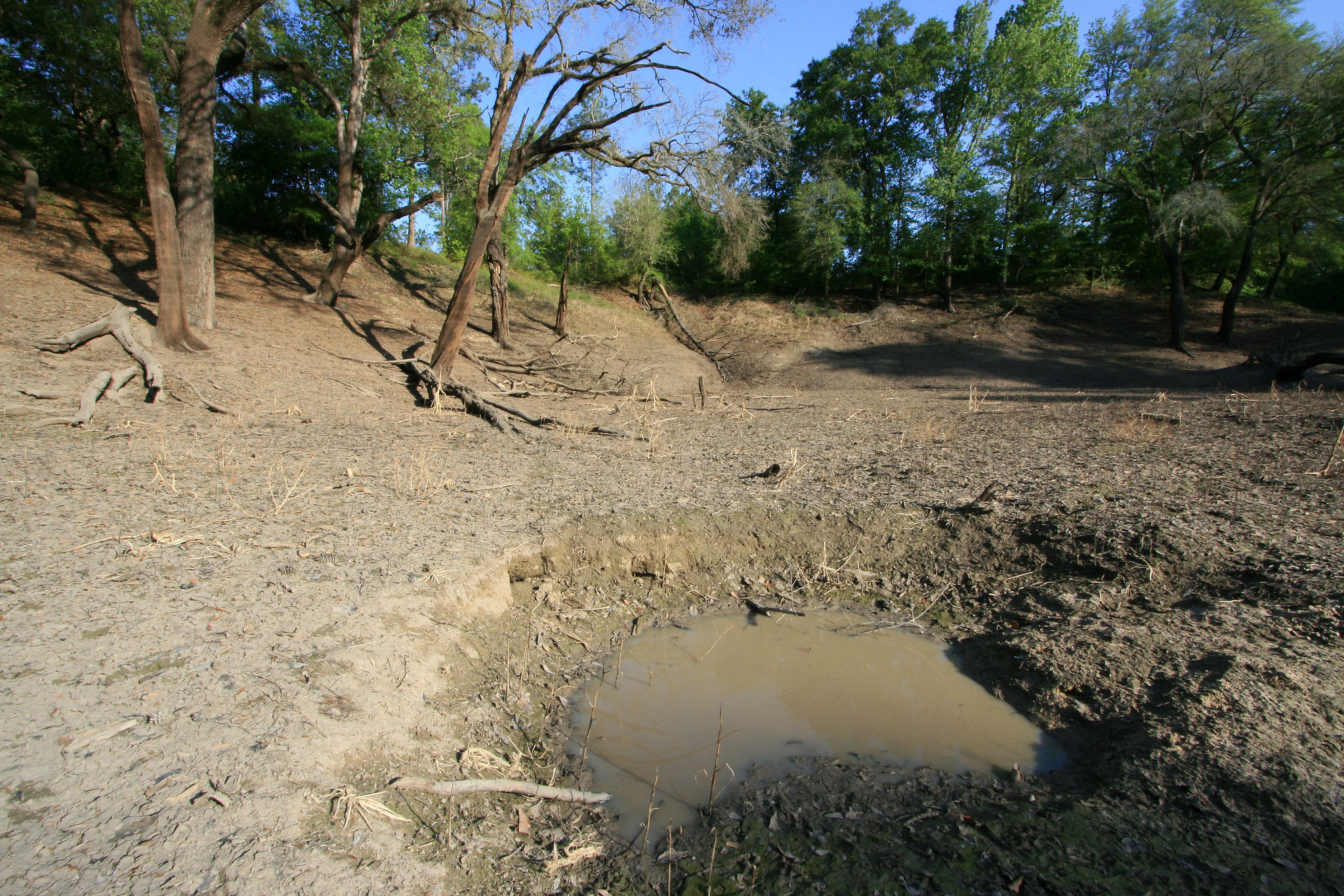 Drought Response and Recovery Project for Water Utilities in Hogansville, GA