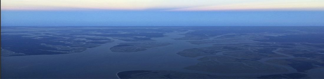 The Lowcountry Lowdown on Sea Level Rise
