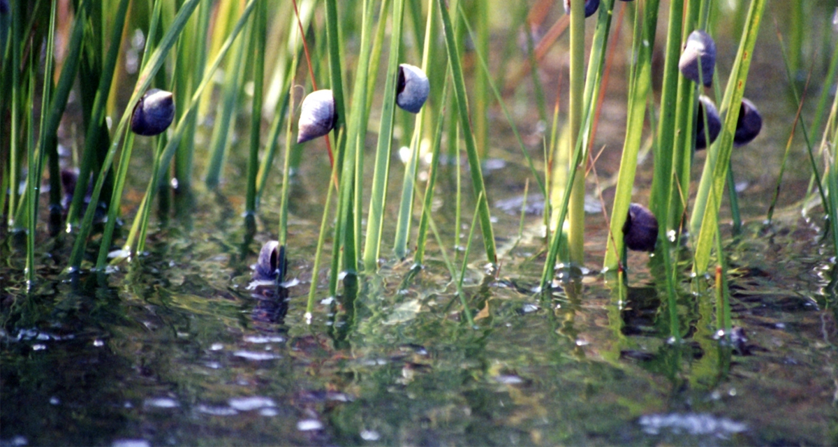 Visualizing Completion of Coastal Projects Reassures Stakeholders