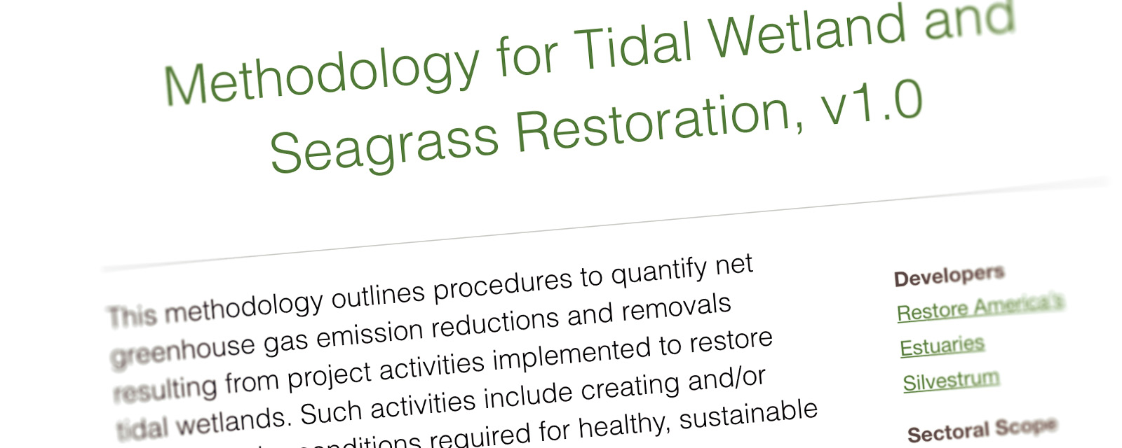 Methodology for Tidal Wetland and Seagrass Restoration