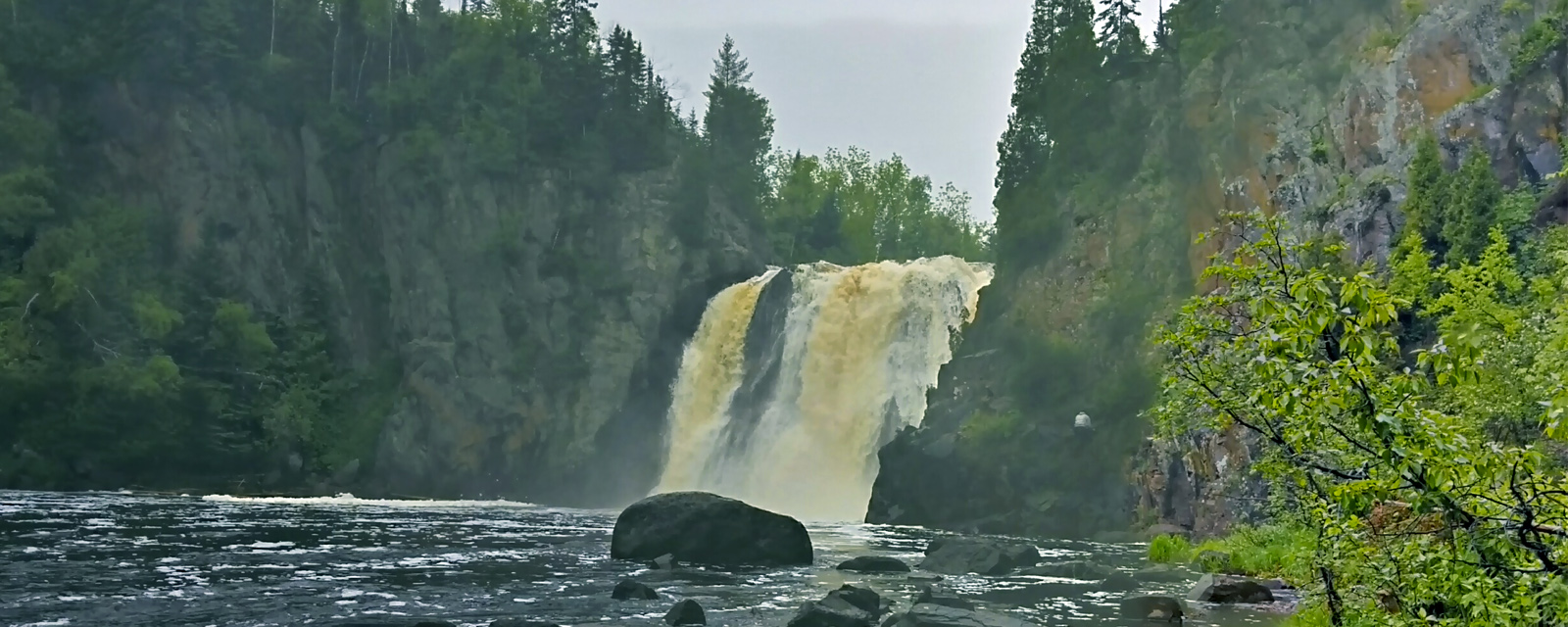 Climate Change Field Guide for Northern Minnesota Forests