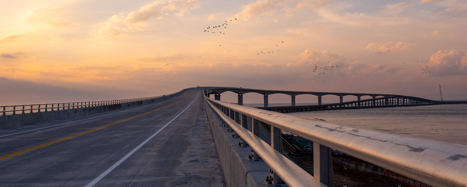 The Road to Resilience