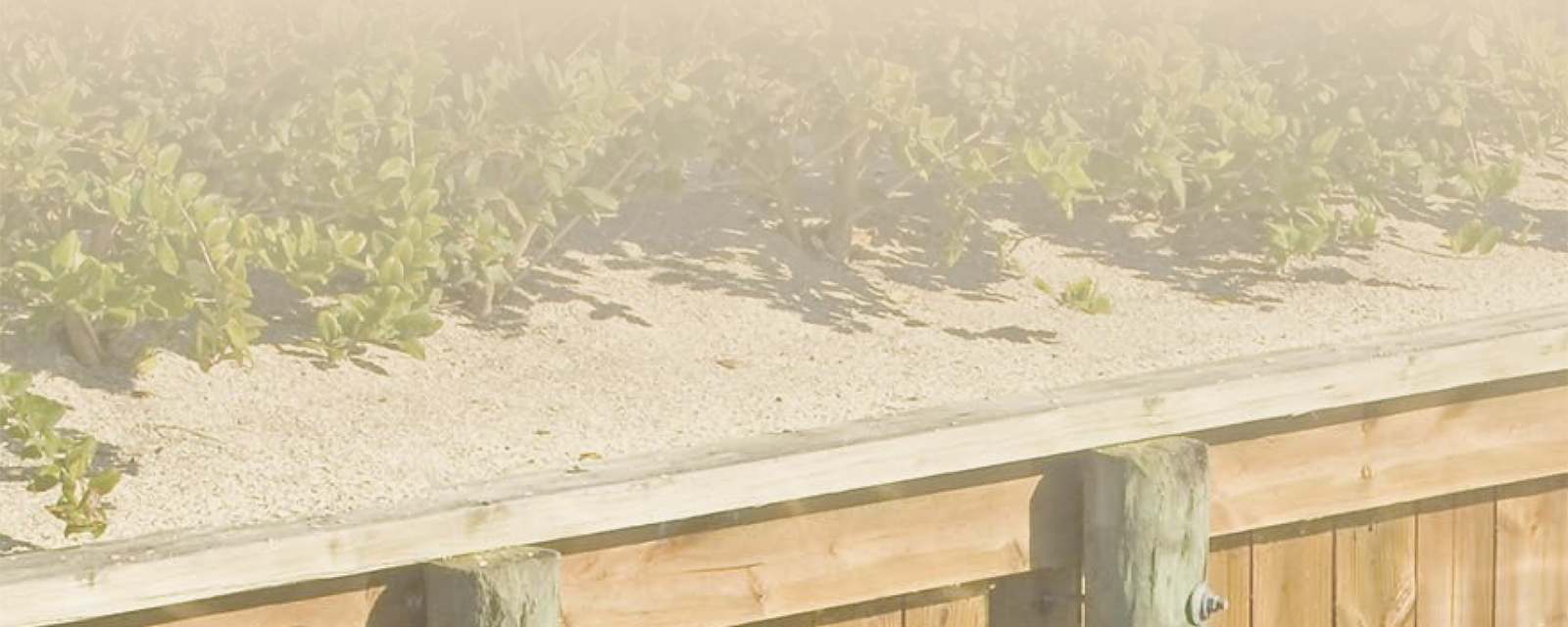 Rolling Easements Primer