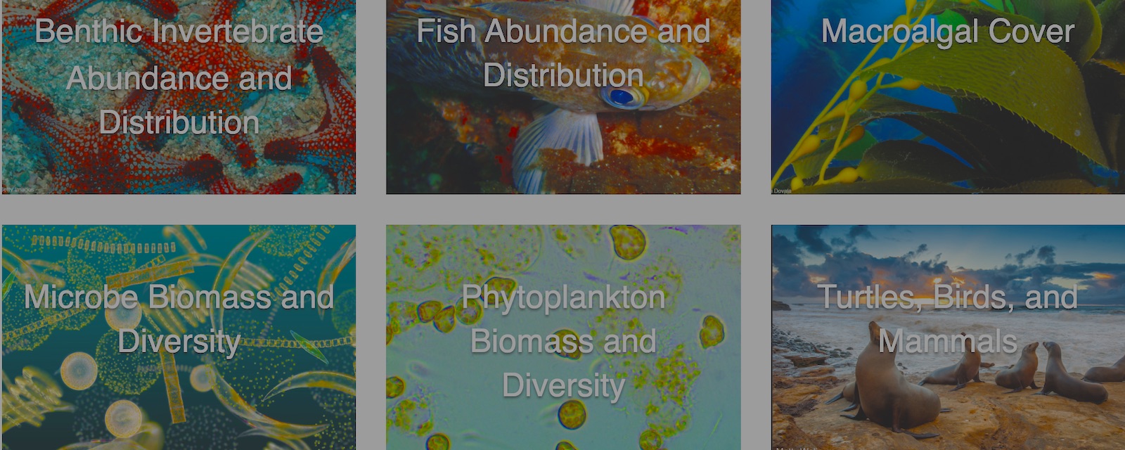 Southern California Coastal Ocean Observing System (SCCOOS) | An IOOS Regional Data Portal