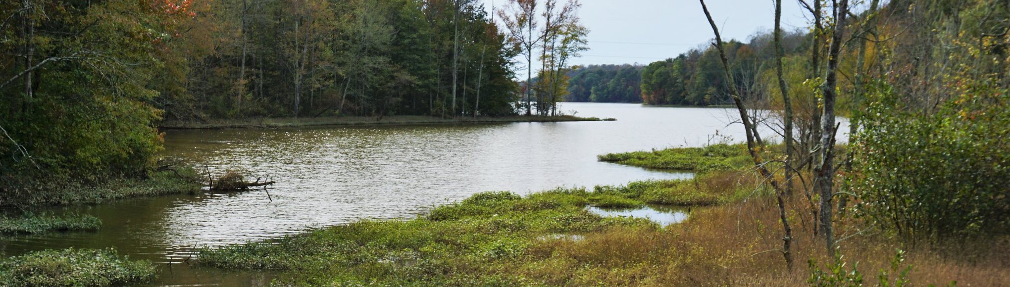 Analyzing Future Urban Growth and Flood Risk in North Carolina