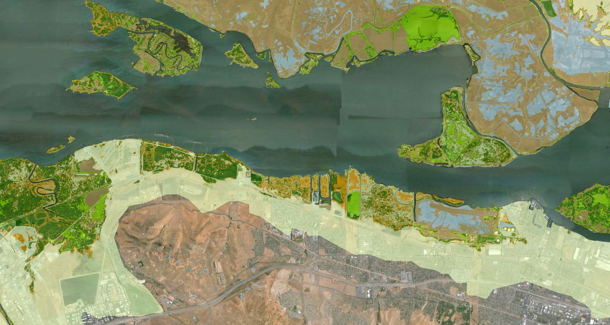 Future San Francisco Bay Tidal Marshes