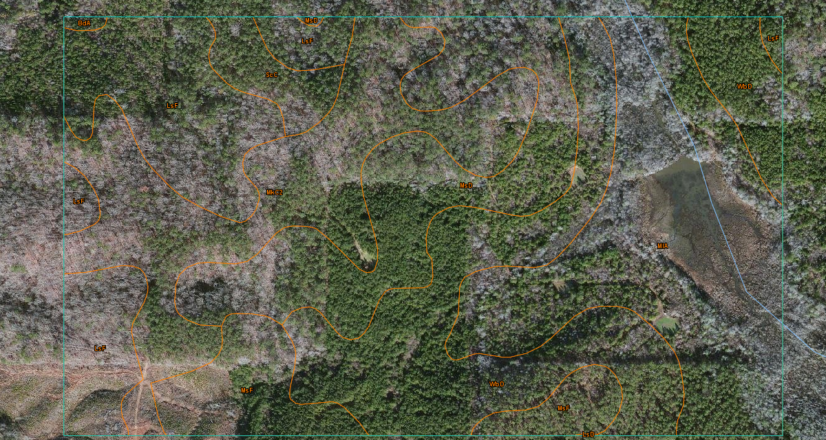 Web Soil Survey