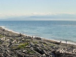 Shoreline at Ebey State Park, Whidbey Island, WA