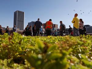 People standing together in field