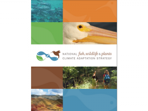 National Fish-Wildlife and Plants plan cover