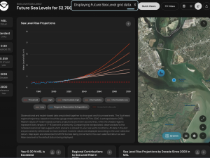 Screen capture of the Sea level rise calculator tool