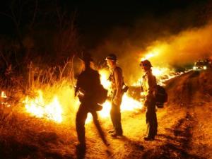 Firefighters fighting a wildfire