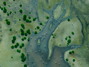 aerial image of river