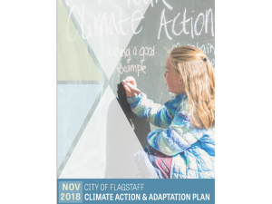 Flagstaff-plan-cover