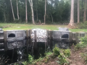 water control structure in pond
