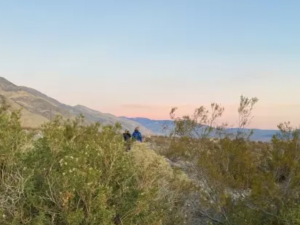 volunteers standing in the Saline Valley