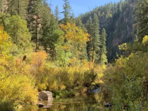 West Clear Creek