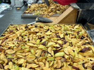 Red and green apple slices after the freeze-drying process