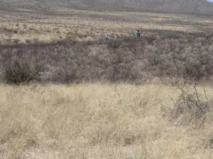 grassland area with mountains in the background