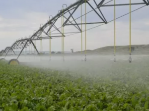 irrigation system