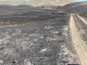 aerial view of post-fire landscape