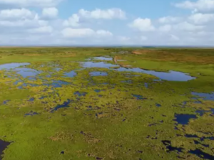 aerial image of a marsh