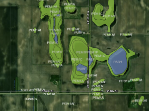 Screenshot from NWI Mapper