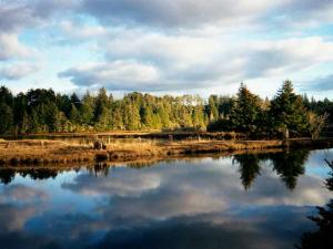 wetland