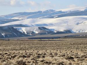 grassland with snowy mountains